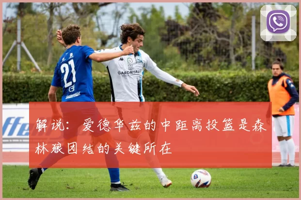 解说：爱德华兹的中距离投篮是森林狼团结的关键所在