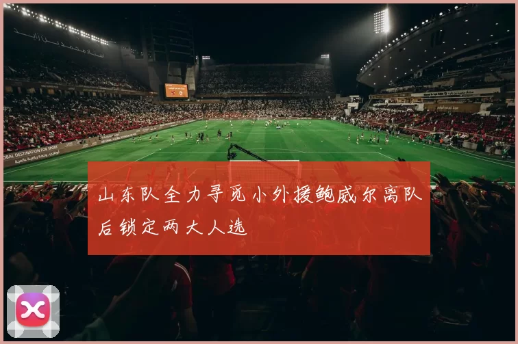 山东队全力寻觅小外援鲍威尔离队后锁定两大人选